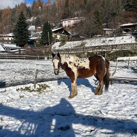 Willa Bio-Bauernhof Auernig Obervellach Zewnętrze zdjęcie