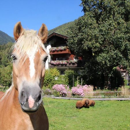 Willa Bio-Bauernhof Auernig Obervellach Zewnętrze zdjęcie
