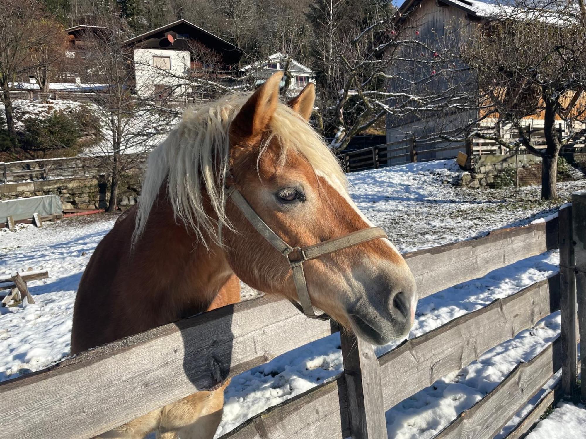 Willa Bio-Bauernhof Auernig Obervellach Zewnętrze zdjęcie