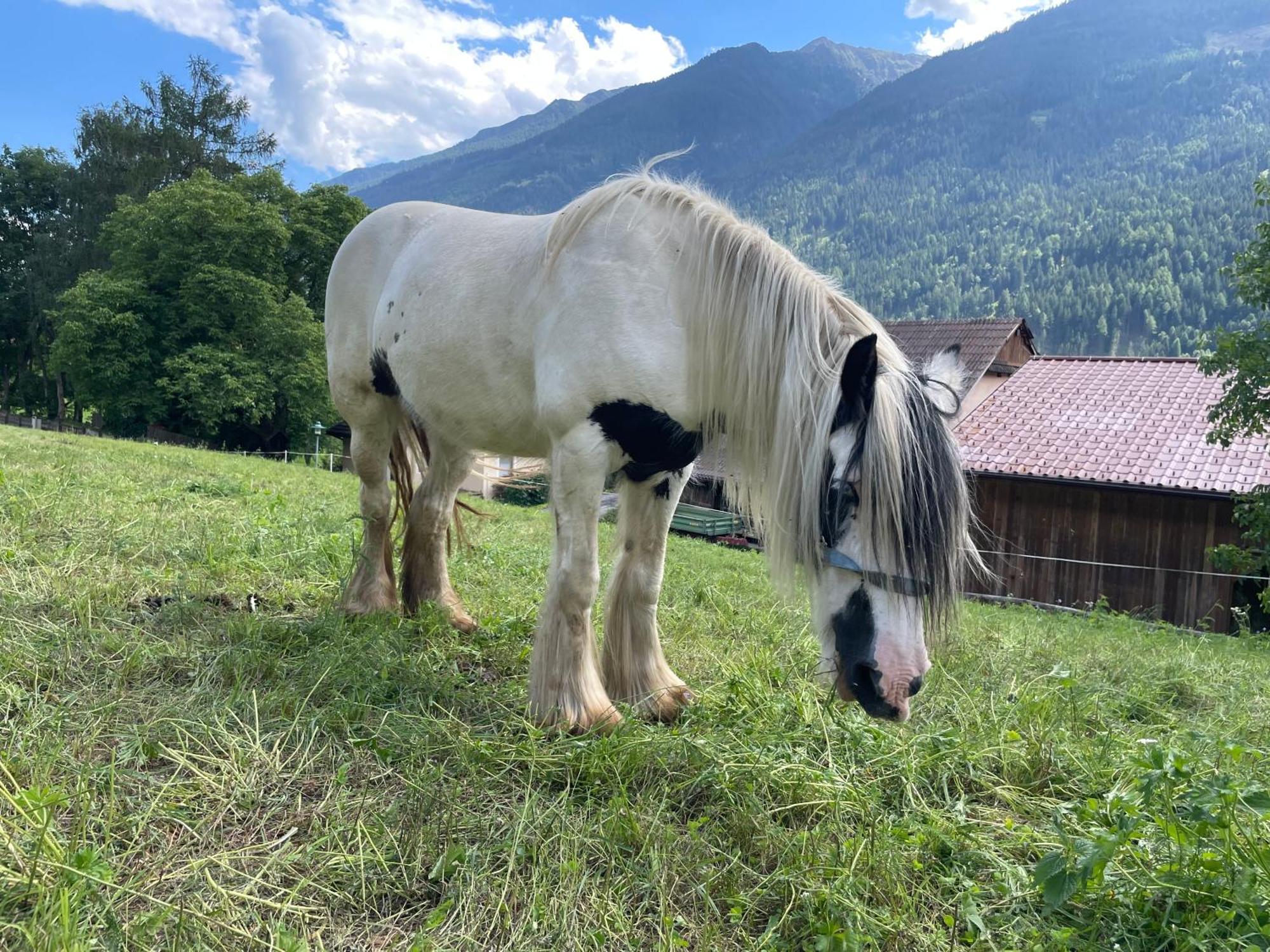 Willa Bio-Bauernhof Auernig Obervellach Zewnętrze zdjęcie