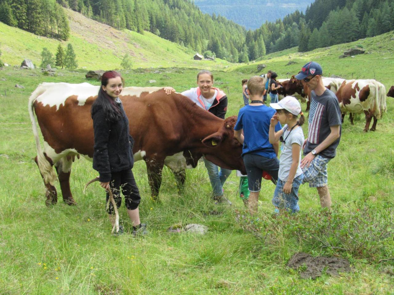 Willa Bio-Bauernhof Auernig Obervellach Zewnętrze zdjęcie