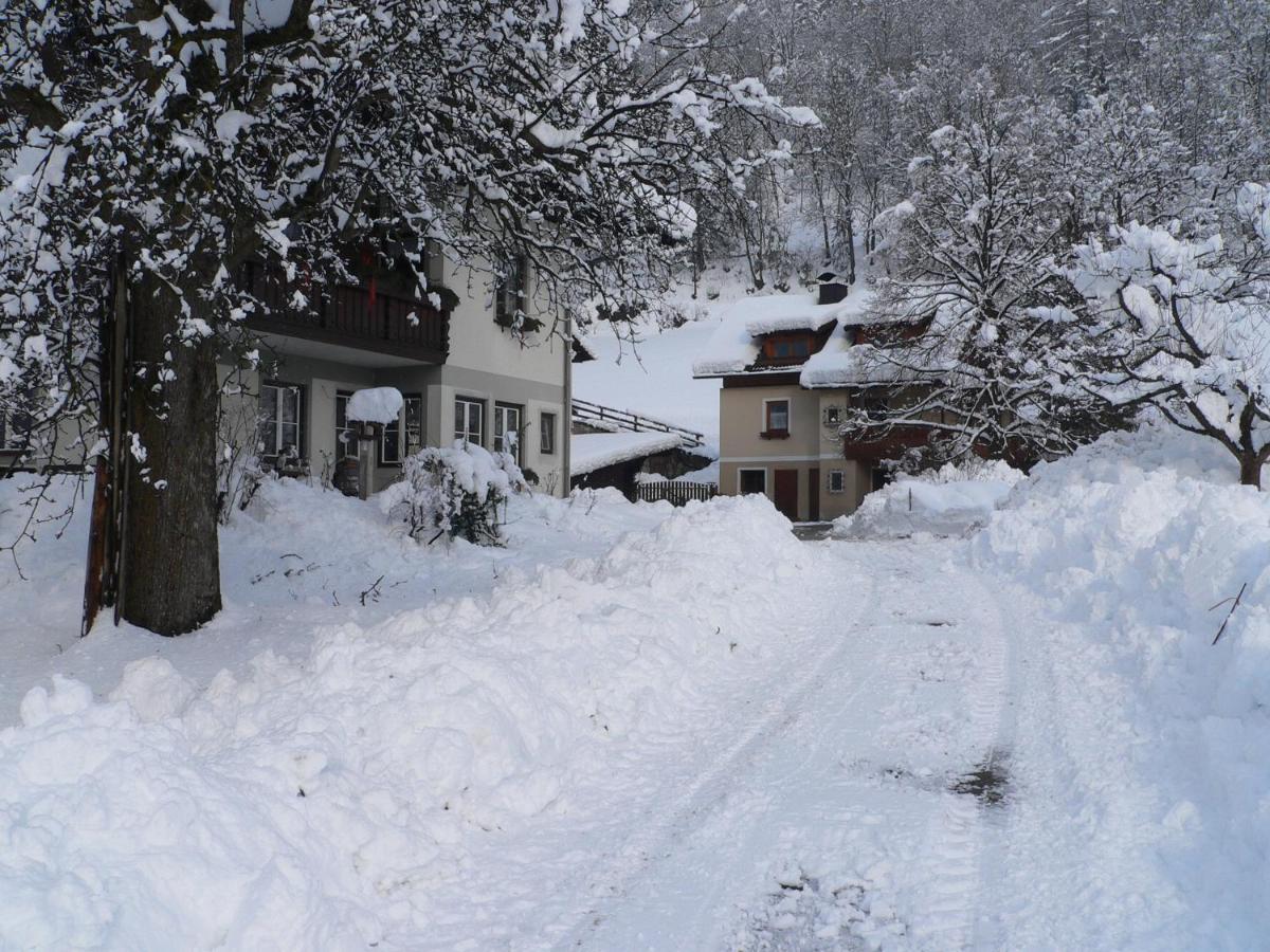 Willa Bio-Bauernhof Auernig Obervellach Zewnętrze zdjęcie